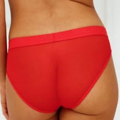 Lounge Underwear Mesh Briefs - Red String Und Slip 7 Lounge Underwear Mesh Briefs - Red String Und Slip